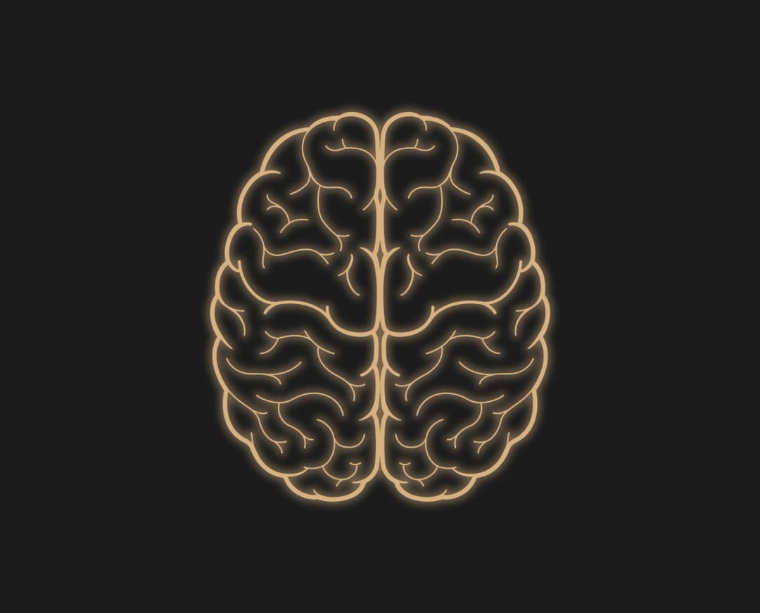 organized-mind-guide