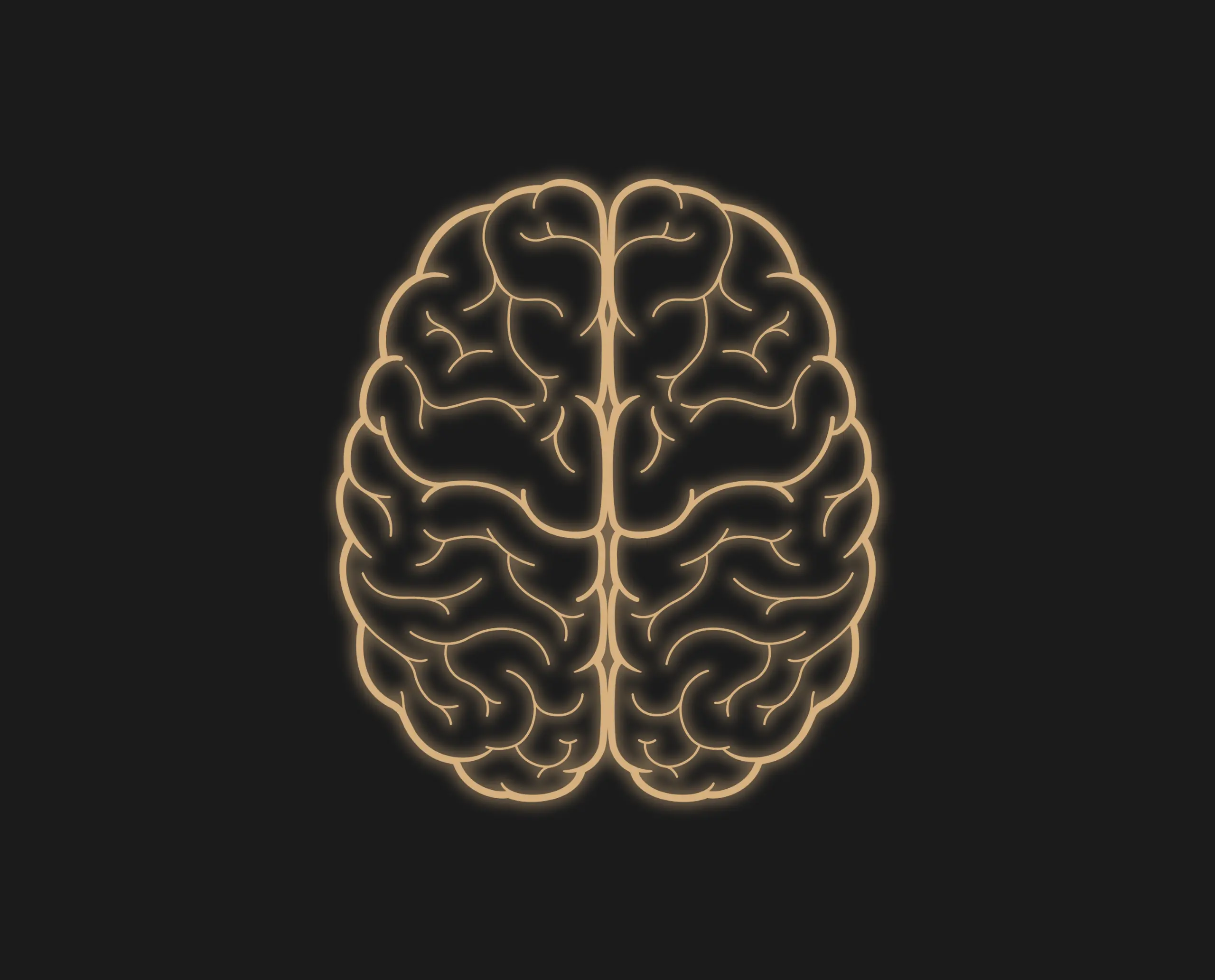 An Organized Mind, a Productive Life: Your Comprehensive Guide to Organizing Your Life Intelligently